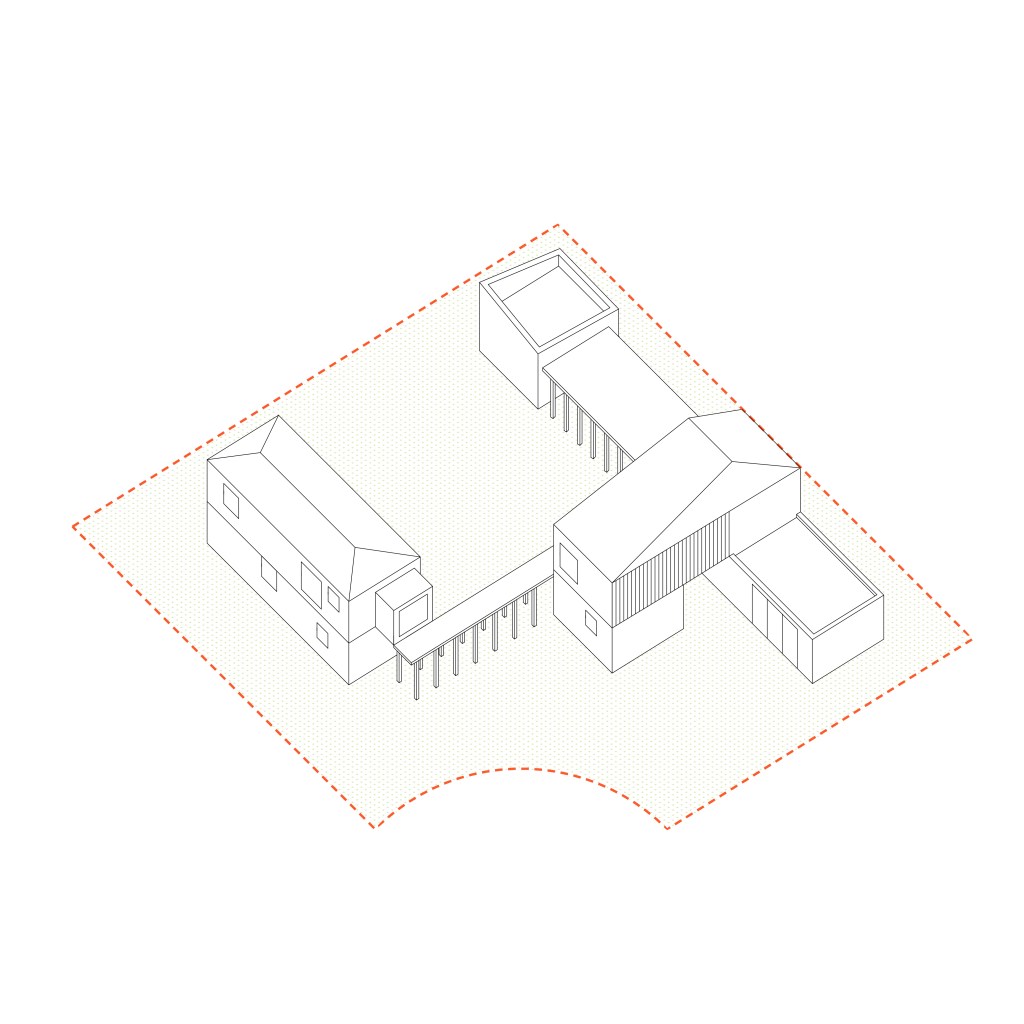 ANSAMBLU BORN TO SKI